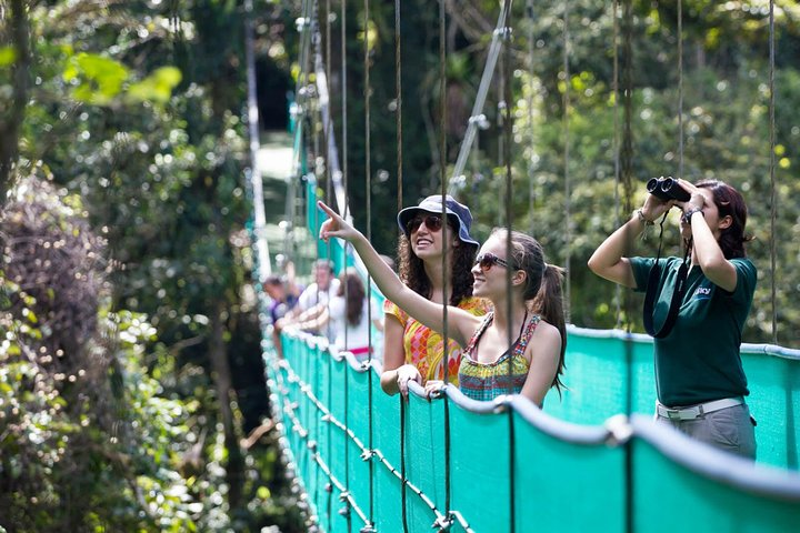Sky Walk with Tour Guide From Arenal - Photo 1 of 7